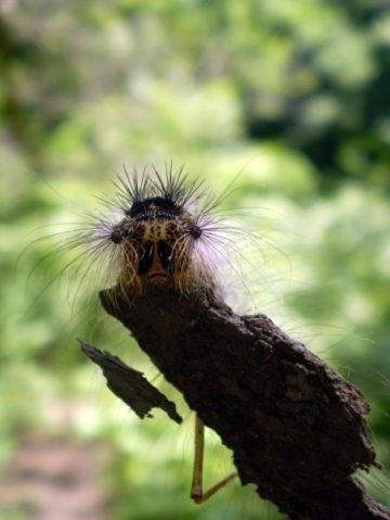 недовольная красавица