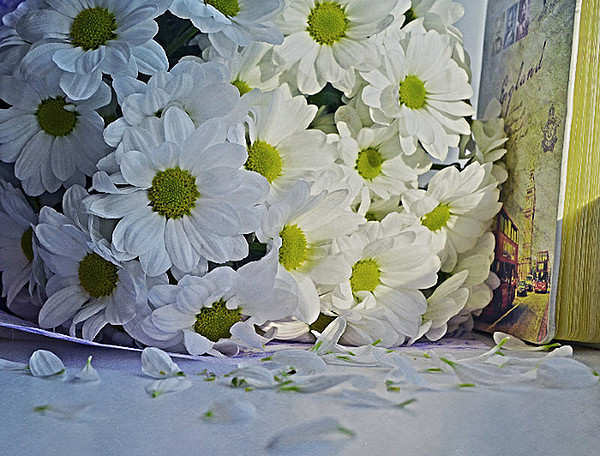 Обработка фотографий