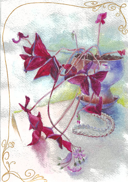 Комнатные цветы