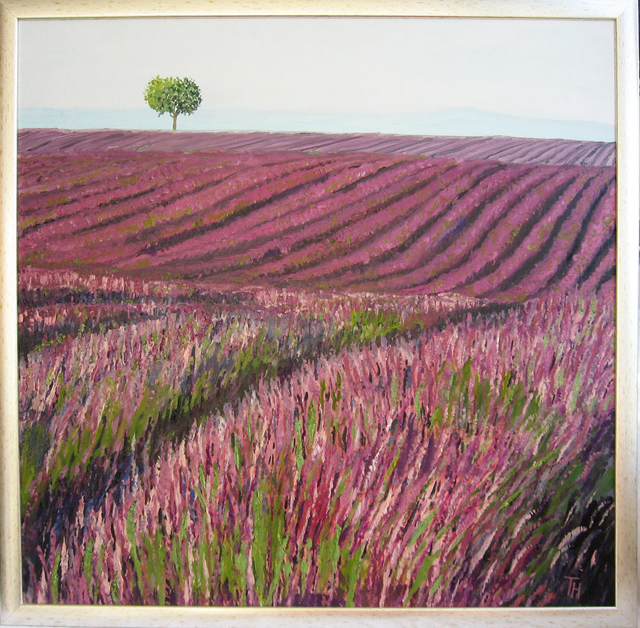 Фиолетовое поле