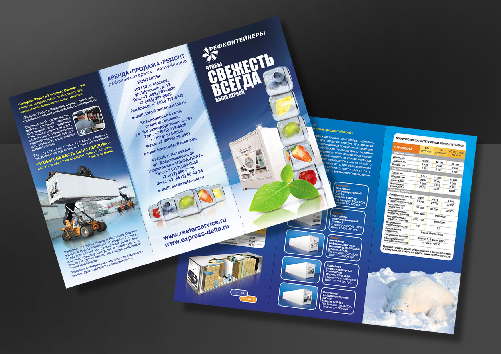 Лефлет. "EXPRESS RIFER"