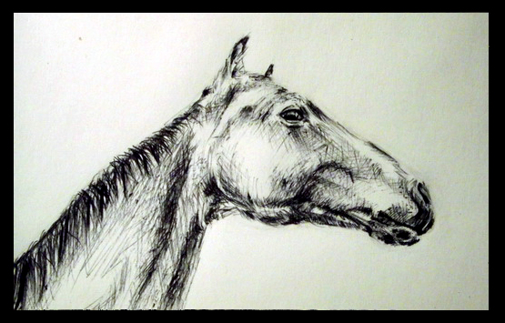 Лошадь (набросок)