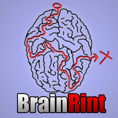 Лабиринт "BrainRint"