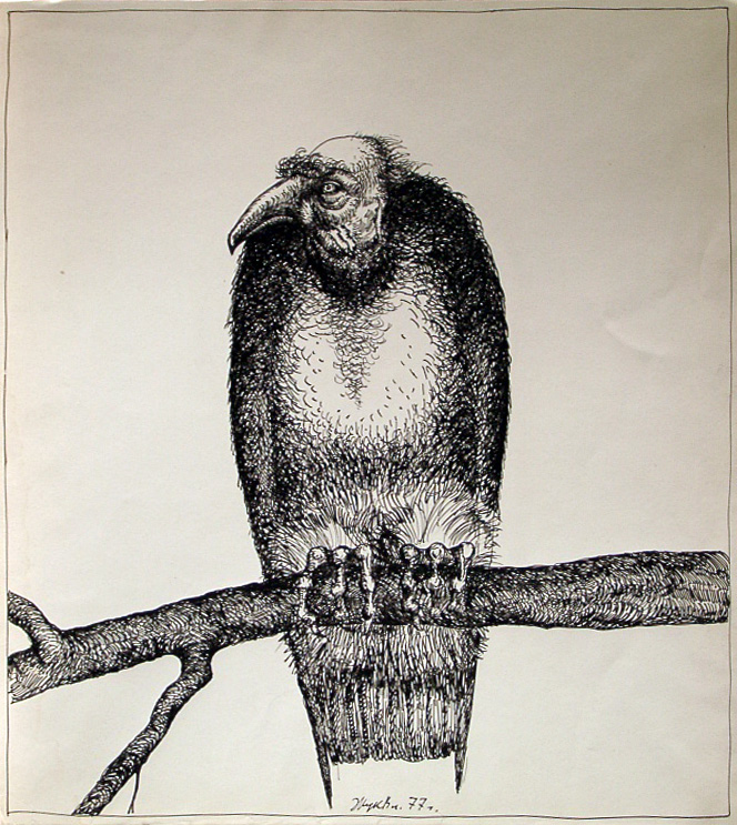 птица философ