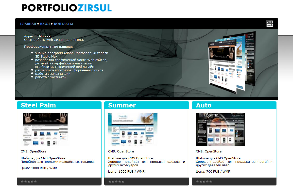 PORTFOLIO ZIRSUL