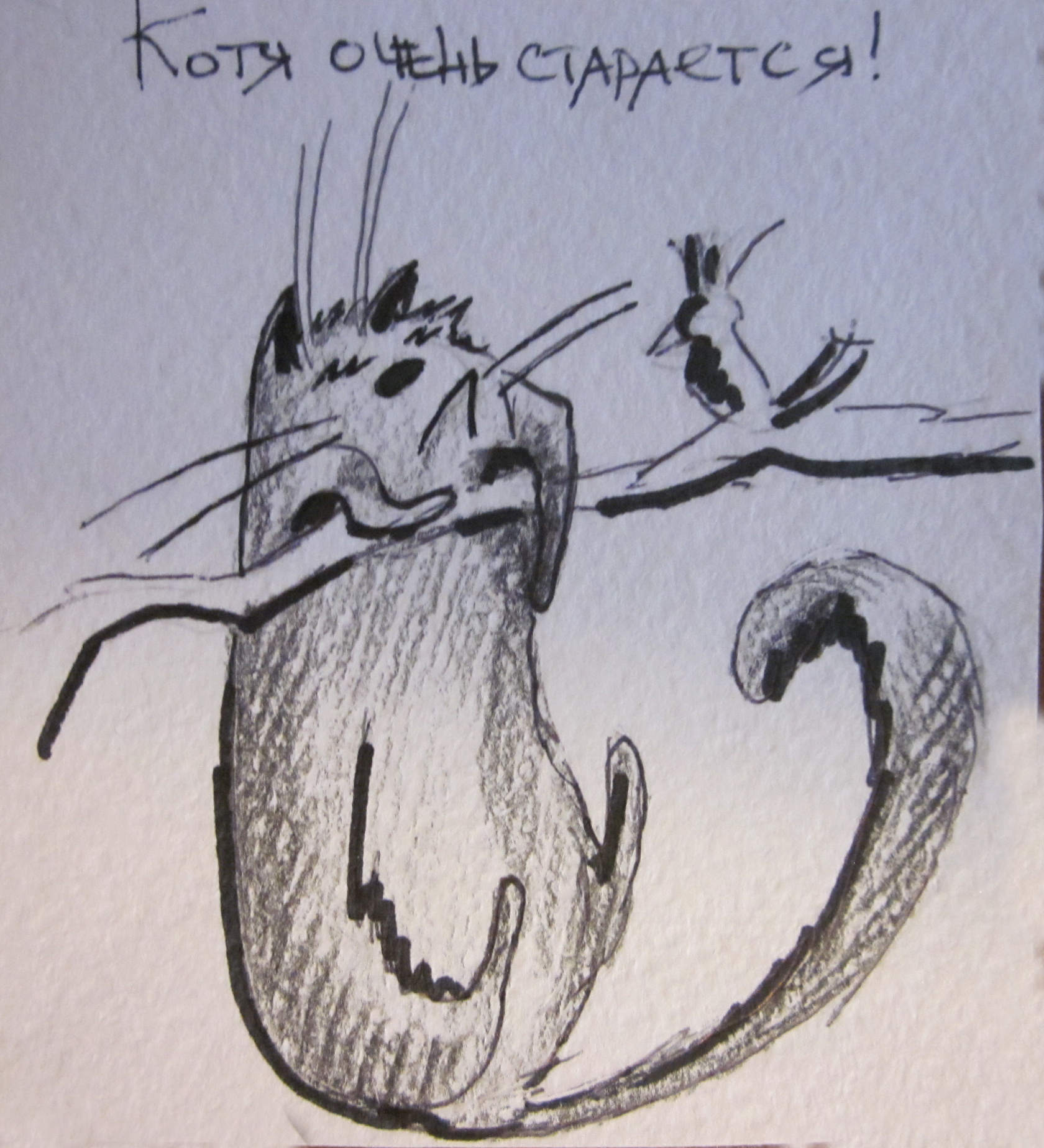 Серия поздравительных мини-открыток "Коты")