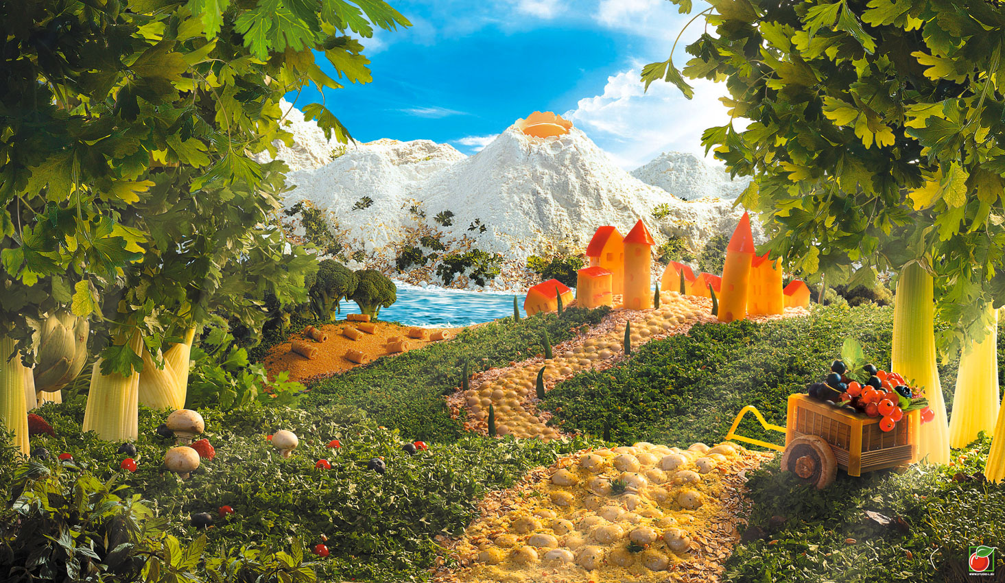 Фотосъемка для упаковки