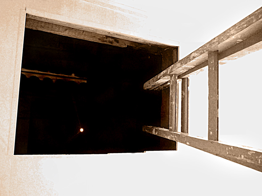 Я поднимаю свою руку