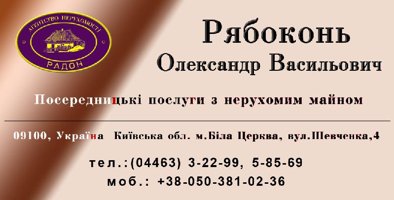 Візитка - Приклад № 1