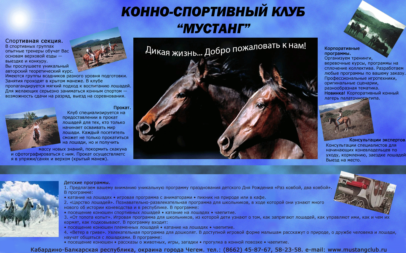 студенческая работа, задание создать образец баннера