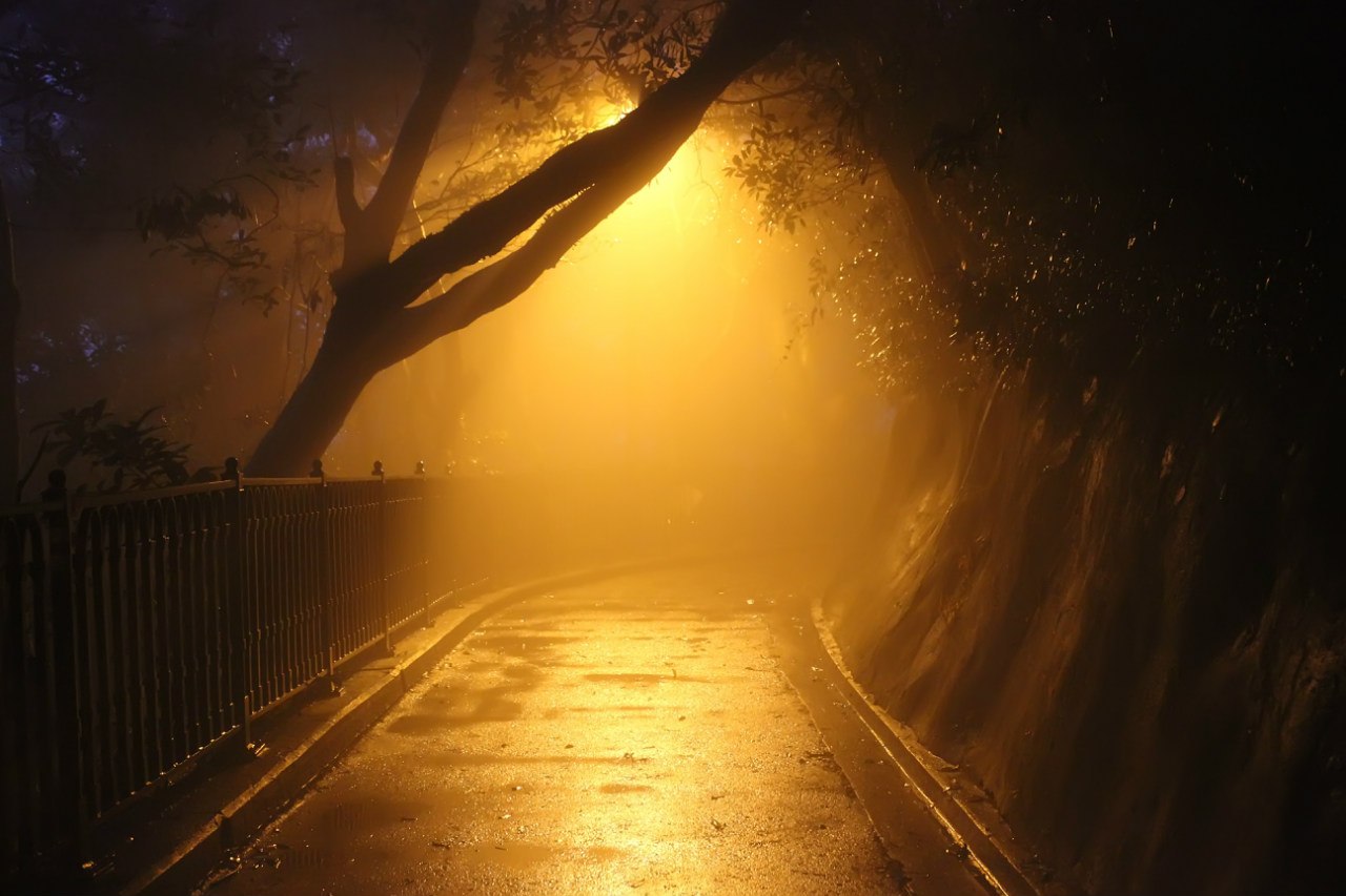 Вечерний парк