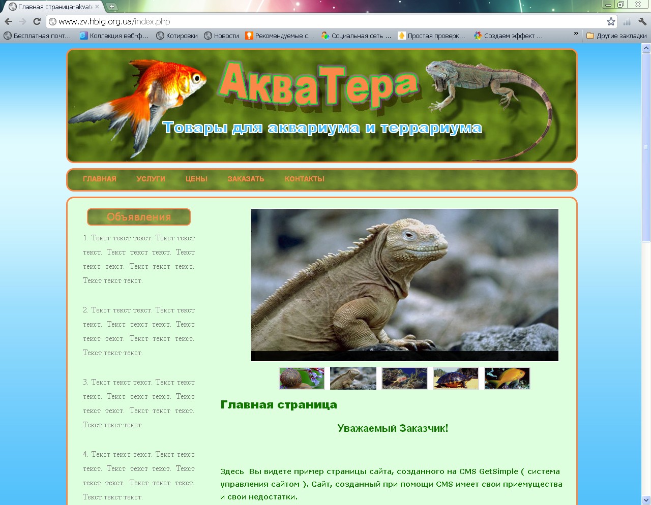 Проект дизайна сайта на тему "Аквариум и террариум"