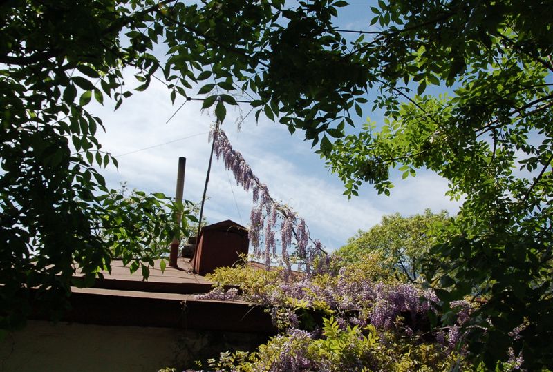 Гламур по-ялтински :)