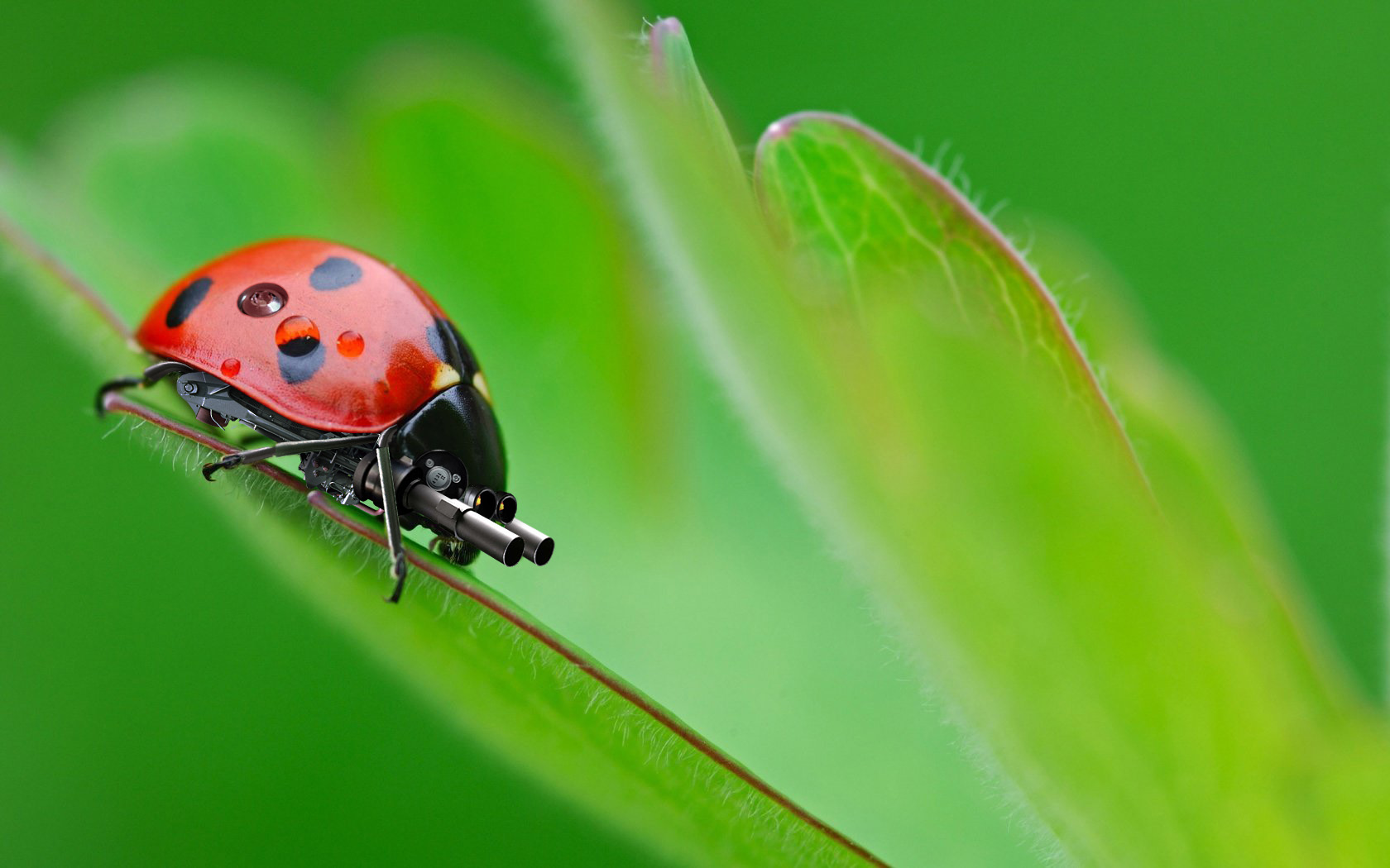 механизированная божья коровка