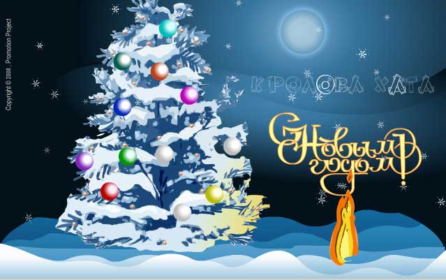 С новым 2009 годом