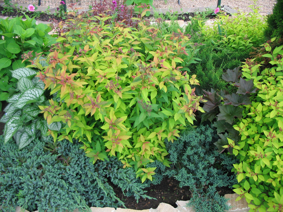 Ландшафтный дизайн