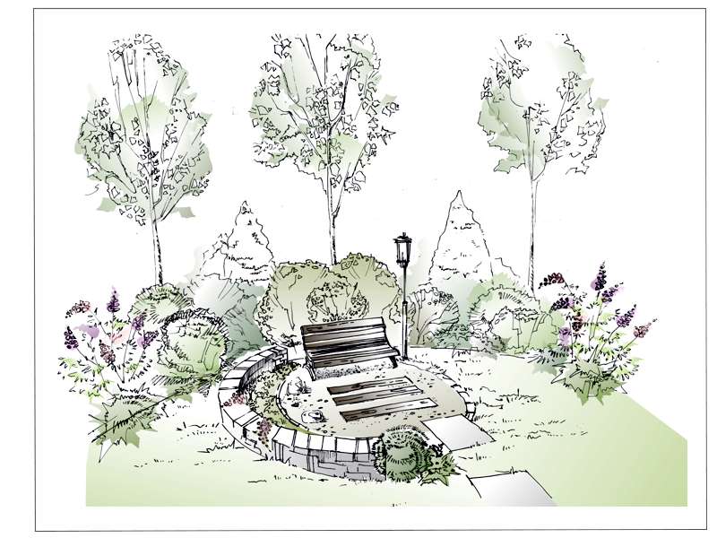 Видовой кадр, Петергоф