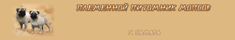 баннер для сайта мопсов "Подарок Поденбесной"