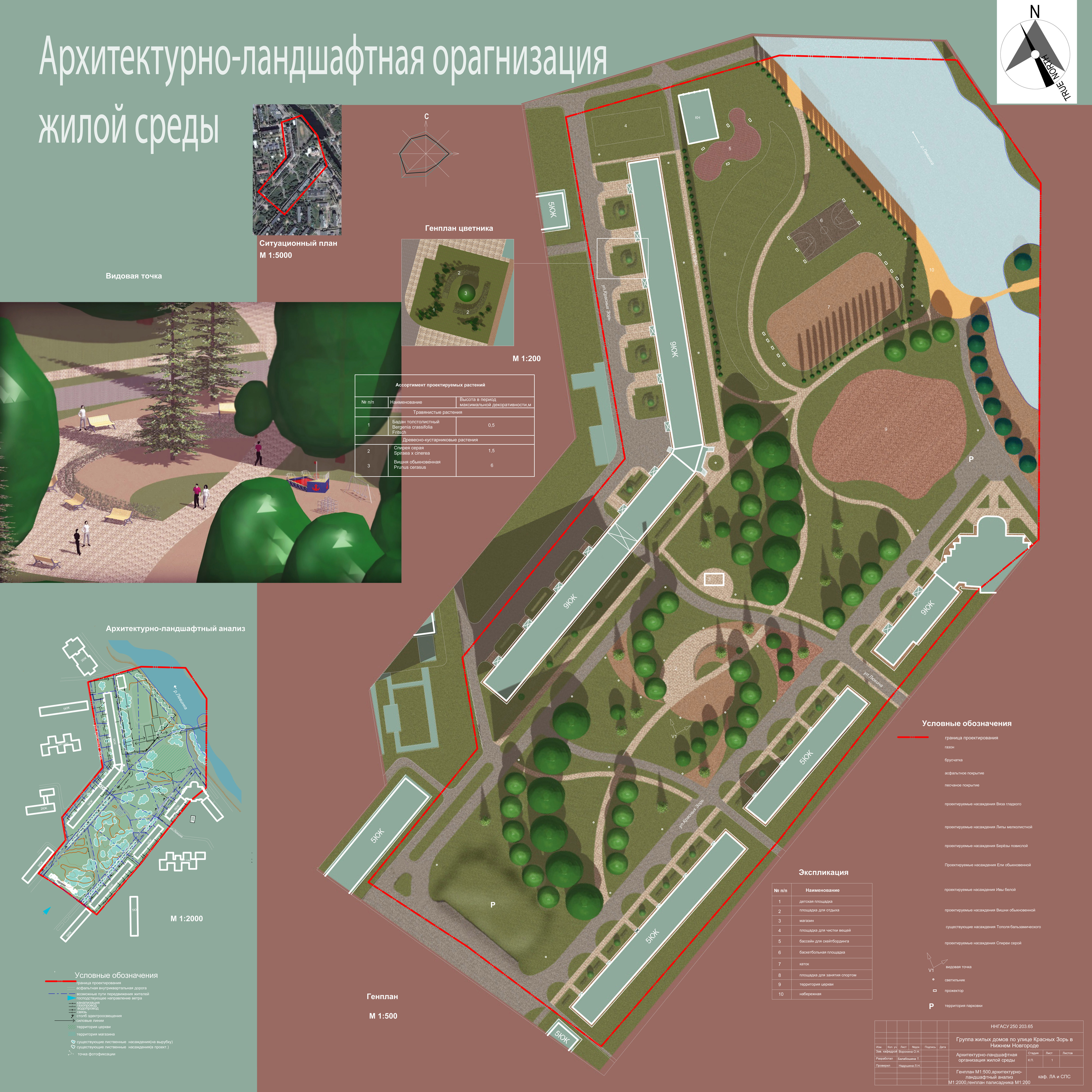 озеленение дворовой территории