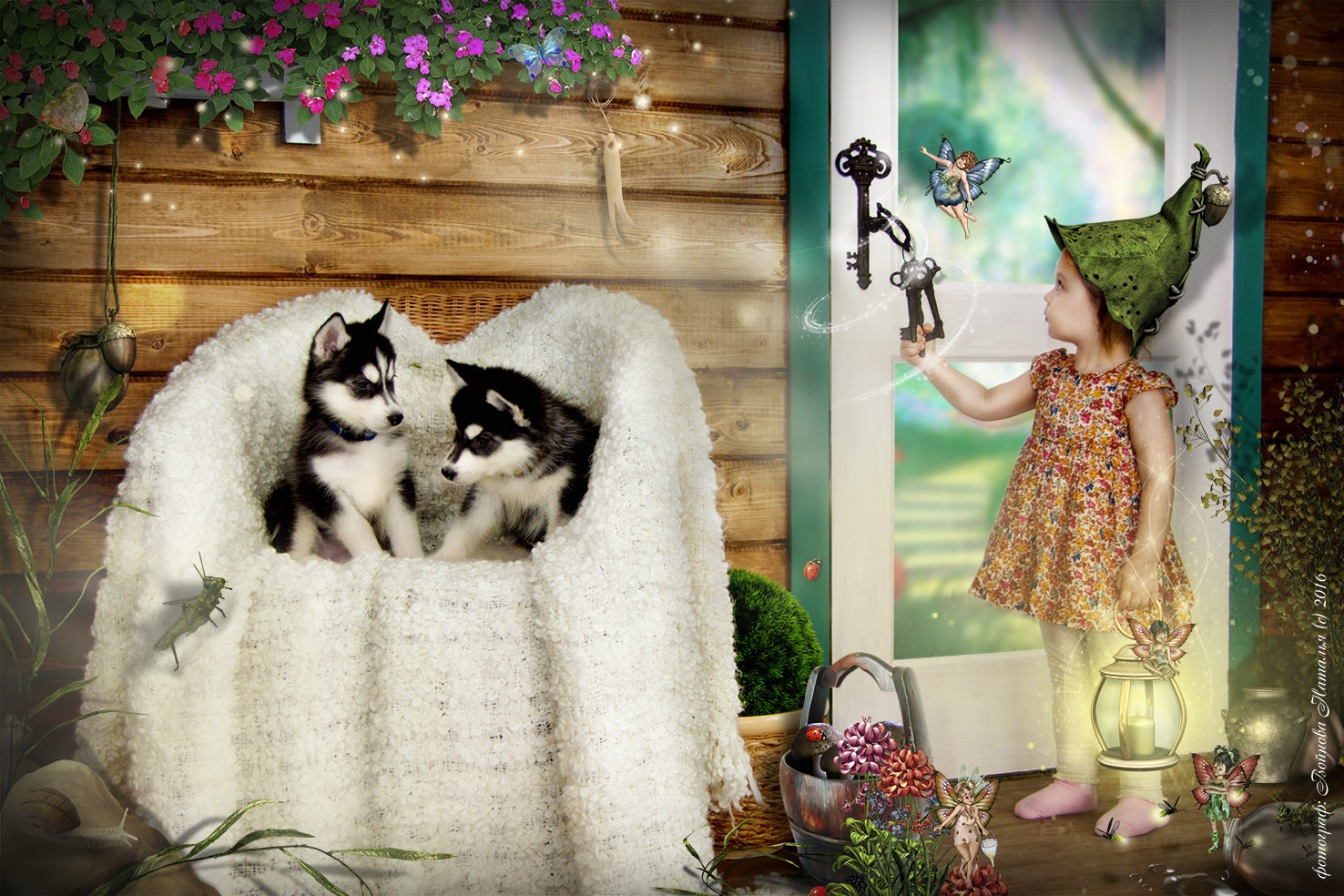 Фотосет "Сказка с хаски"