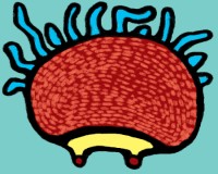 прикрепленный файл