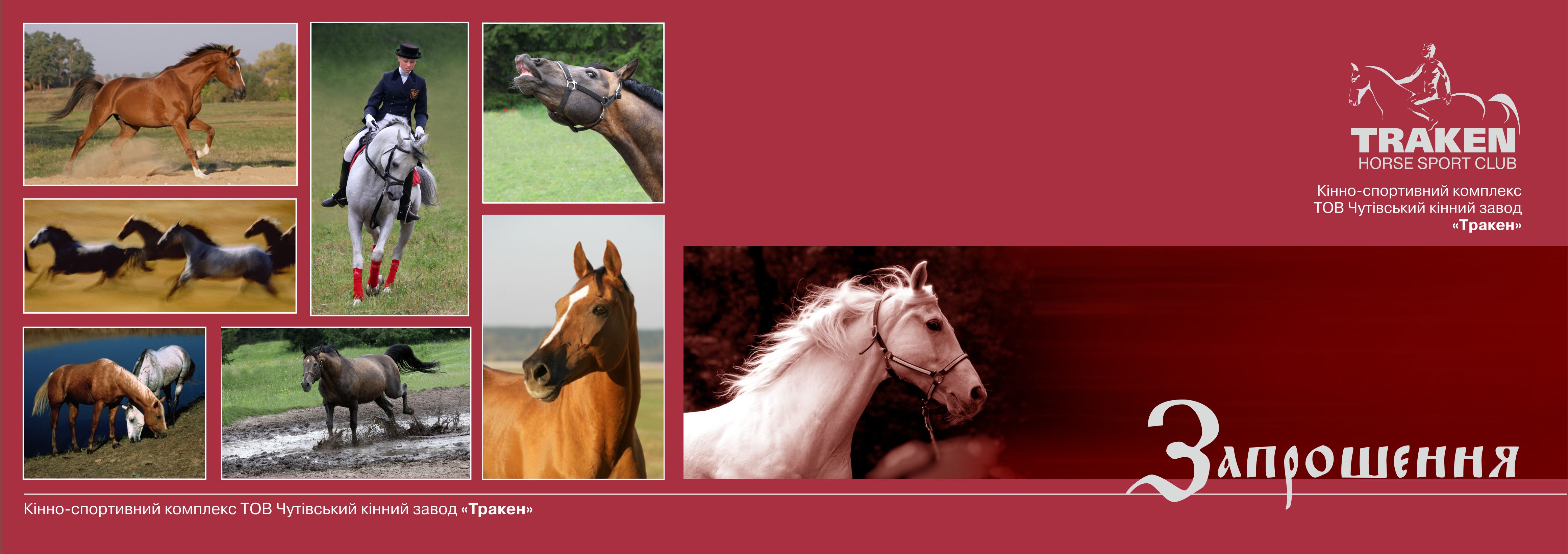 Фирменное приглашение КСК "Тракен"