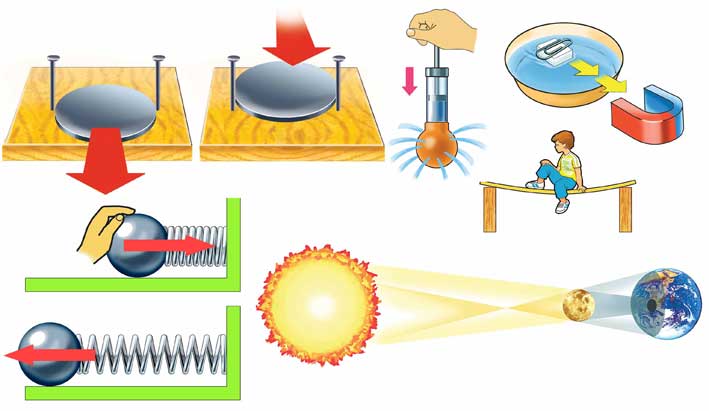 иллюстрации