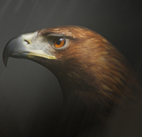 Сайт VmNetwork Marketing