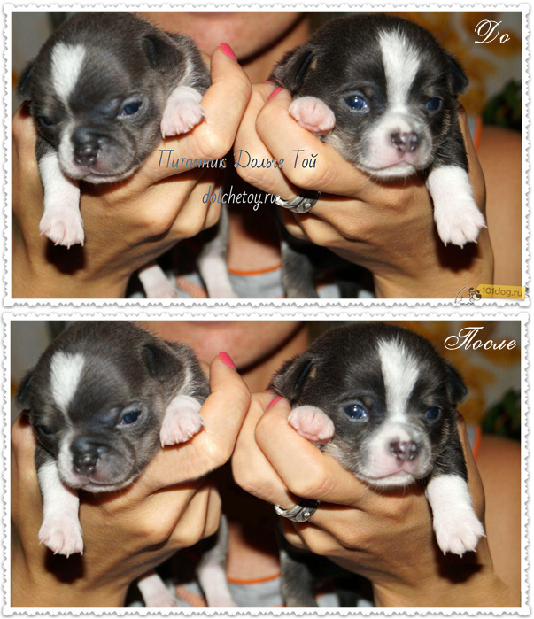 Убрать подпись 3