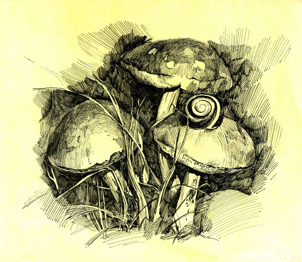 Бабки. туш, перо.