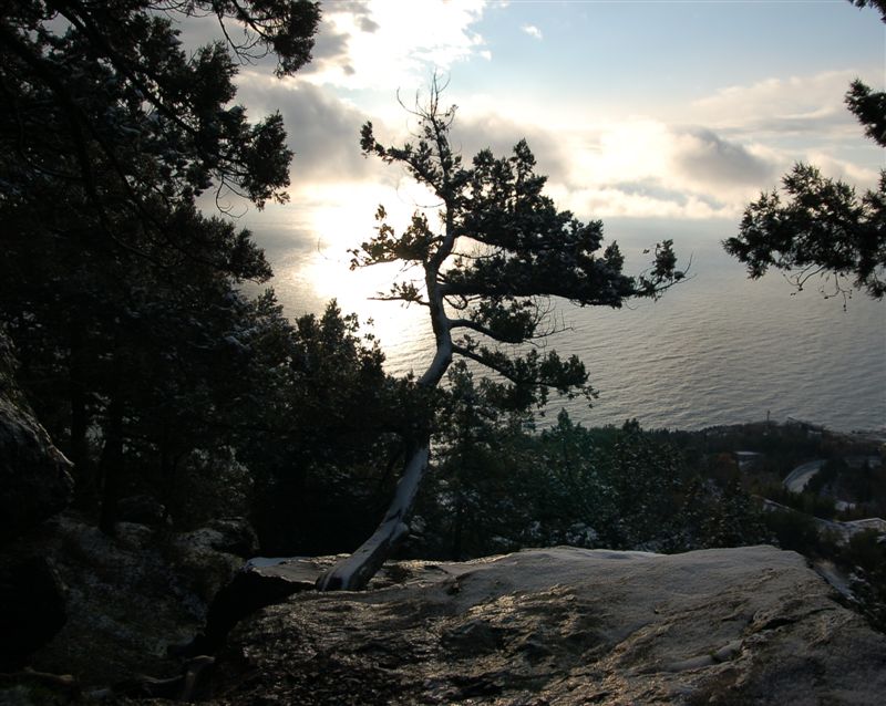 Утро. Первый снег. Почти графика :))