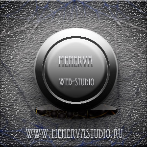 Макет логотипа "Веб-студии Минервы"