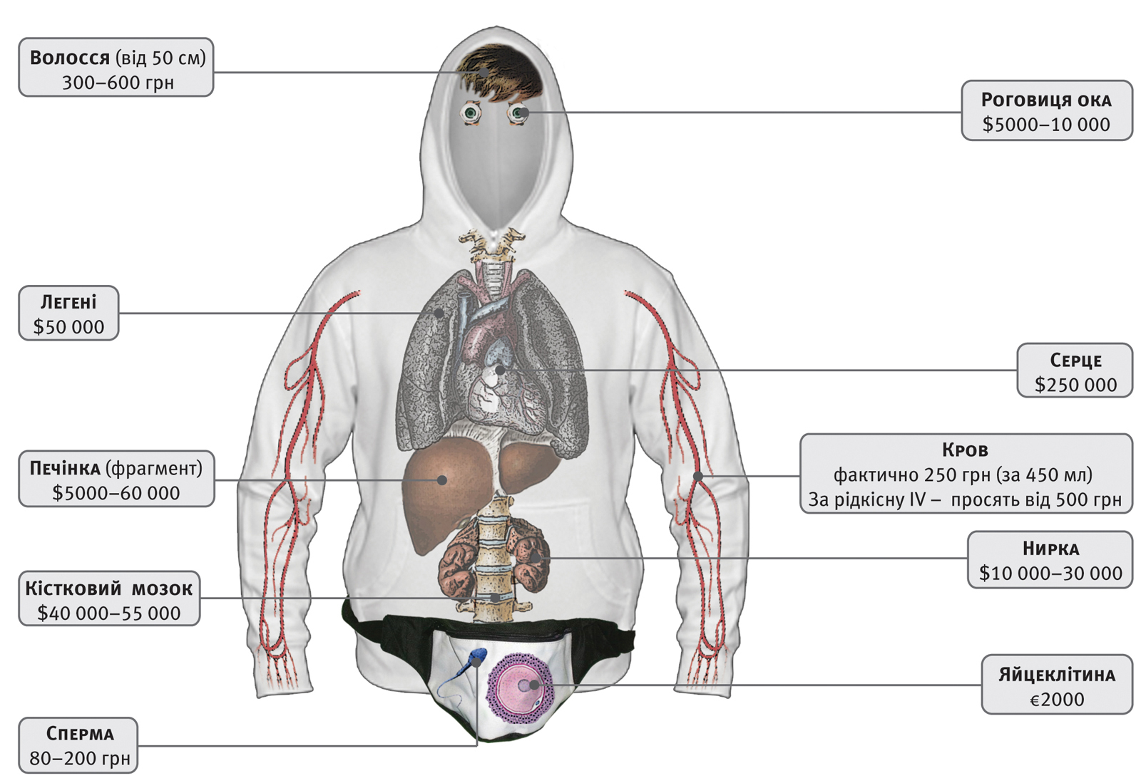 Инфографика в журнал "Країна"