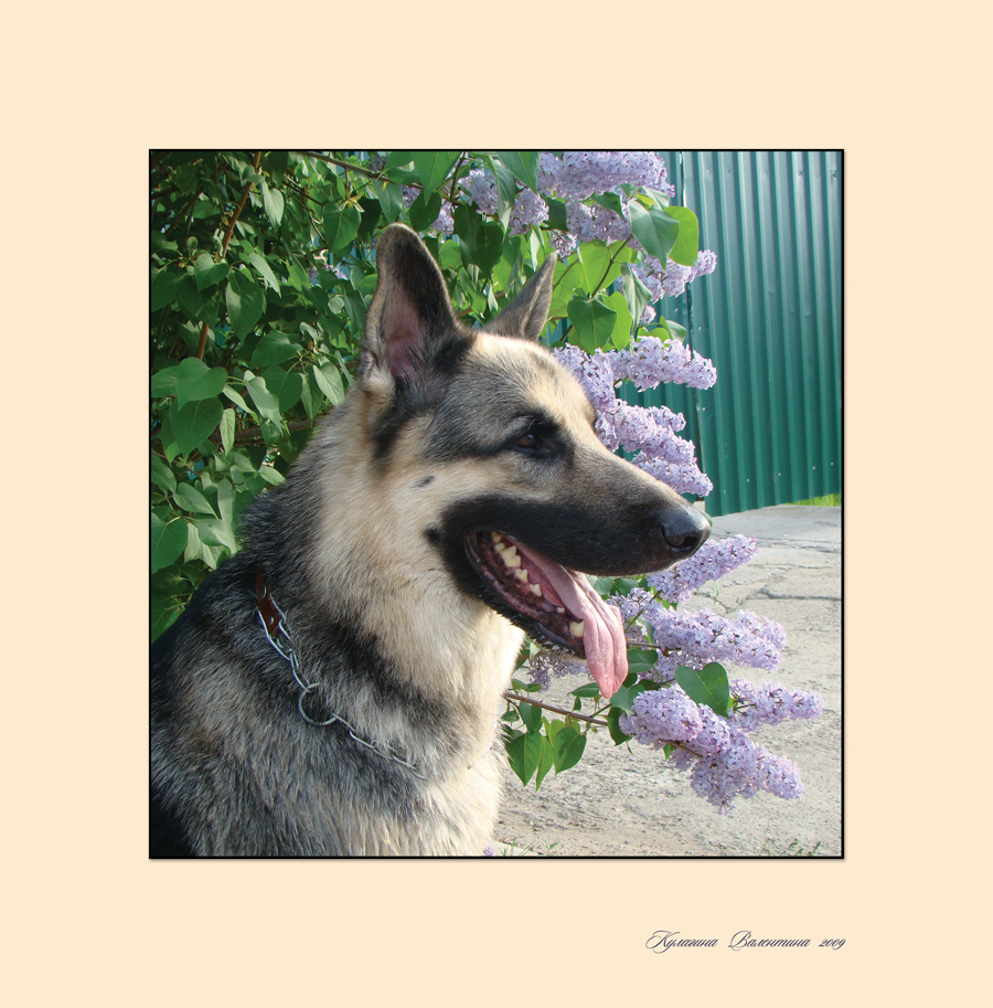 Обработка фотографий