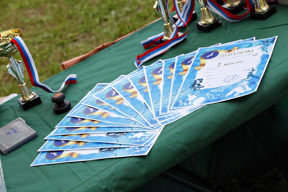 Дипломы для клуба "Созвездие Ловчих Псов"