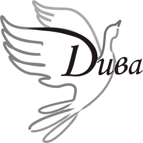 Логотип используется компанией ООО "ДИВА"