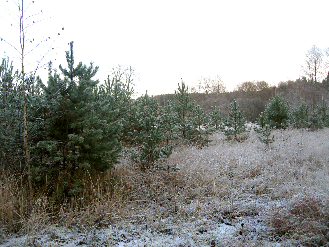 наша "глубинка". у дальнего хутора...