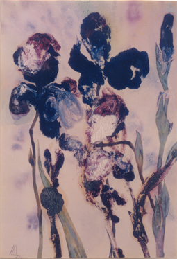 Ирисы. Монотипия. Бум., масло, темпера  60 на 40 см