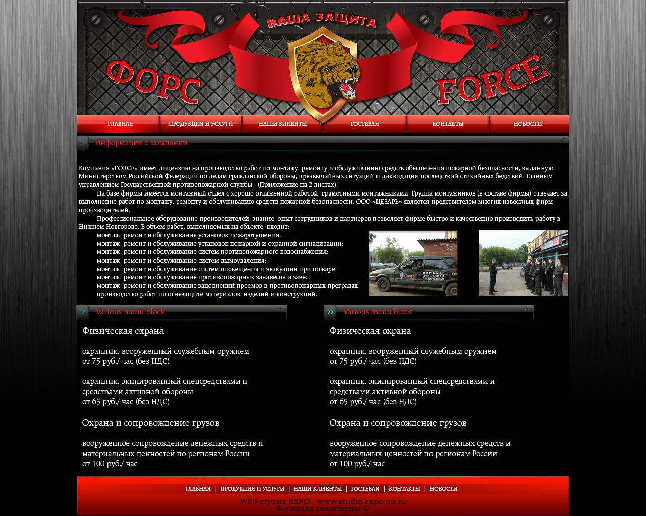 Сайт охранной фирмы Force"