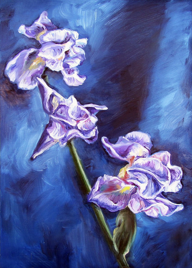 ирисы