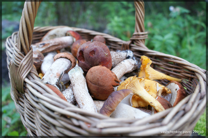 После охоты