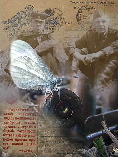 Завоеванная тишина