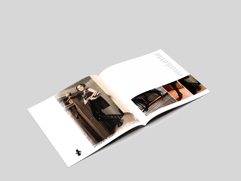 Вариант для имиджевого буклета