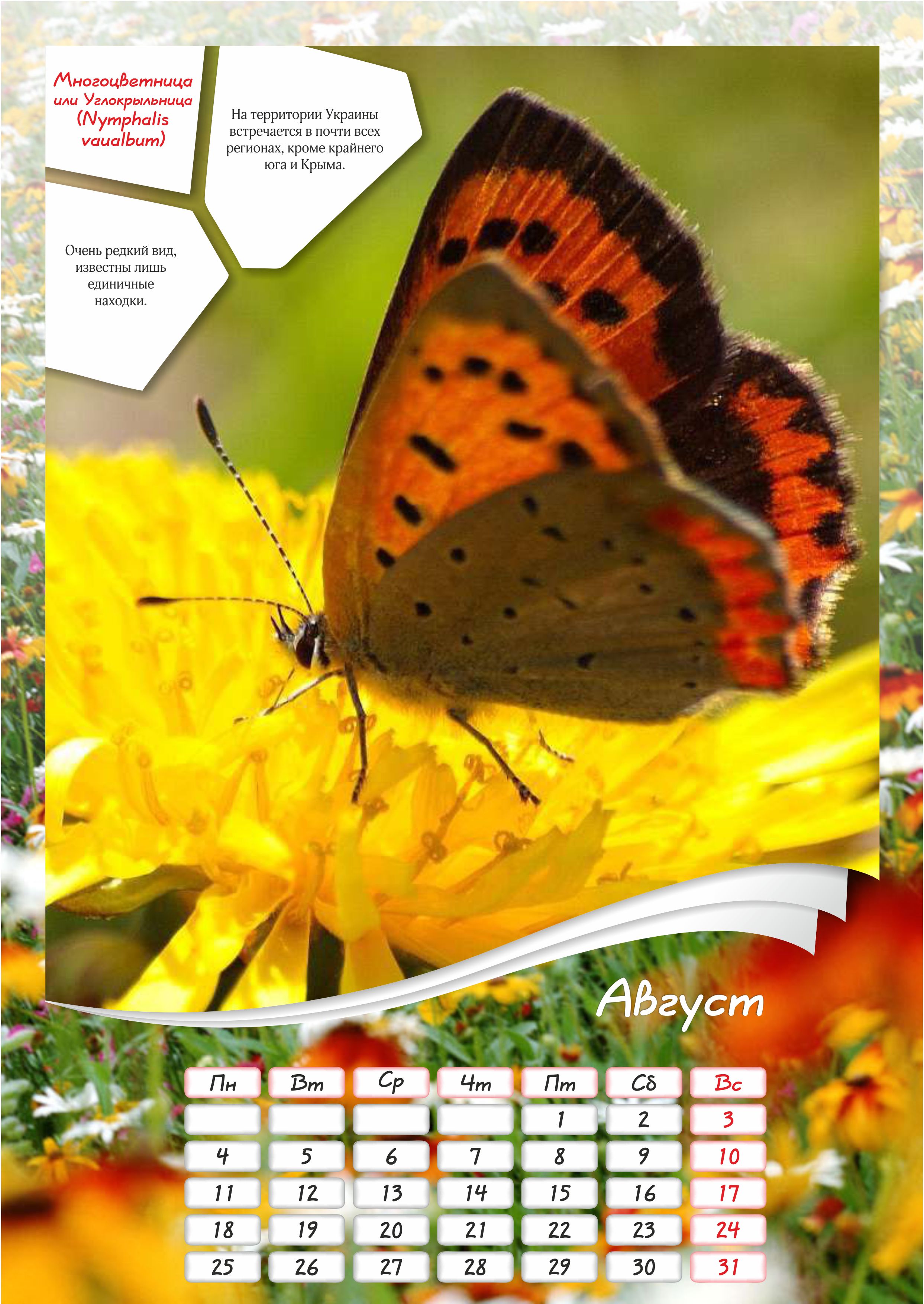 Календарь_лето