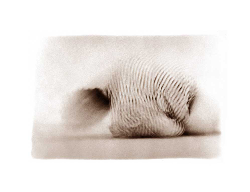 "Лесной дом"