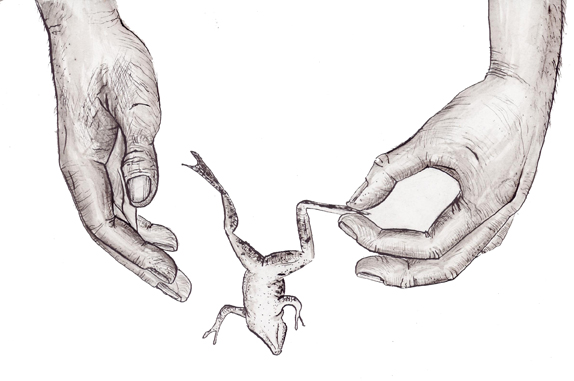 иллюстрация7