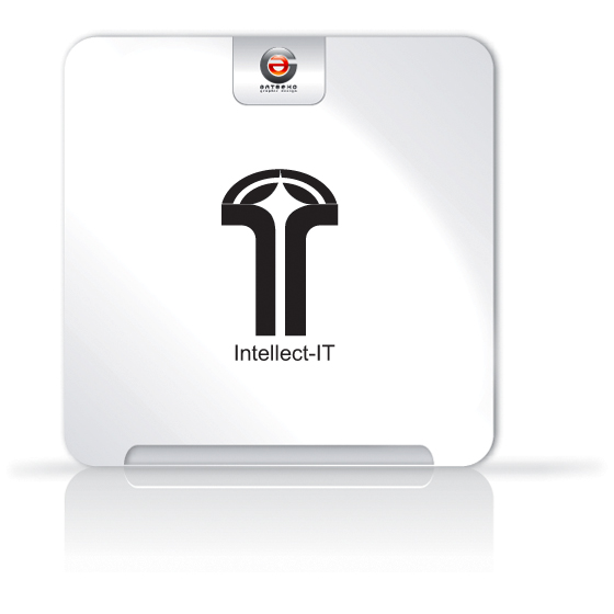 Intellect-IT/
