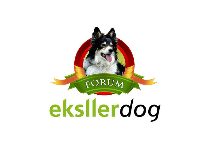 Eksller Dog