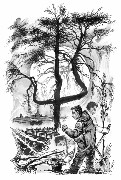 иллюстрация к книге Э.Леус "Крепость осознания"