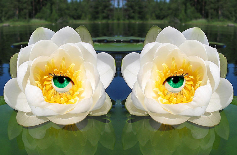 Глаза Лилии